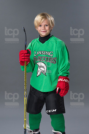 TCP_8293_17