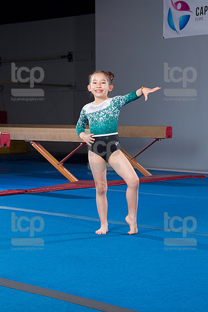 TCP_8292_81