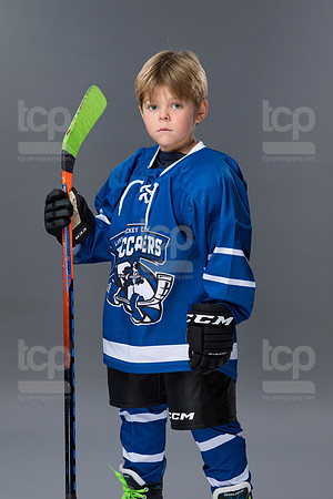 TCP_8336_27