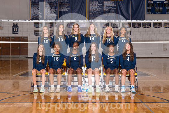 TCP_1372_2526DCDSVarVball