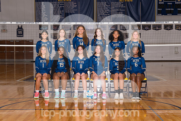TCP_1386_2526DCDSJVVball