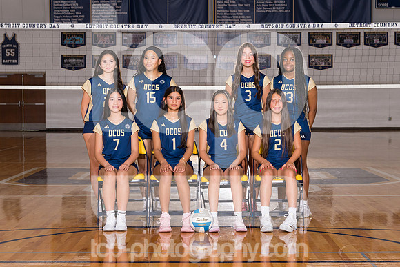 TCP_1478_2526DCDSFreshVball