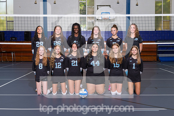 TCP_2617_LCJC8AVball