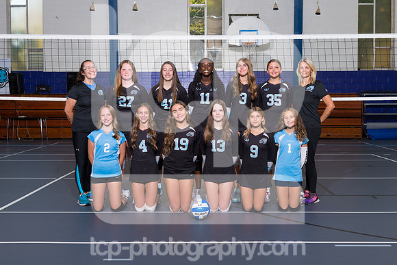 TCP_2820_LCJC7AVball
