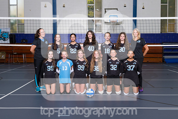 TCP_2825_LCJC7BVball