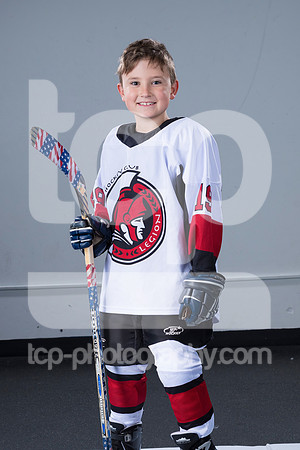 TCP_3766_118