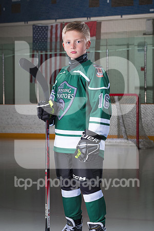 TCP_3931_15