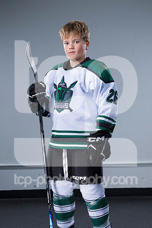 TCP_4644_44