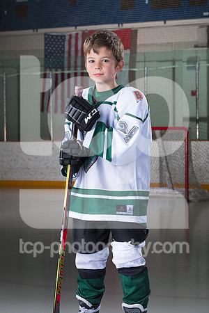 TCP_3937_17_