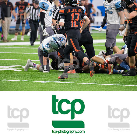 TCP_6337_113019