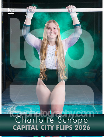 TCP_0640_3x4BannerE_Schopp
