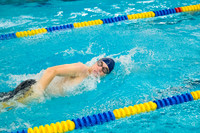 012226 Boys Swim & Dive - DeWitt vs. Mason