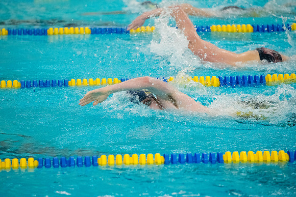 TCP_2006_012226