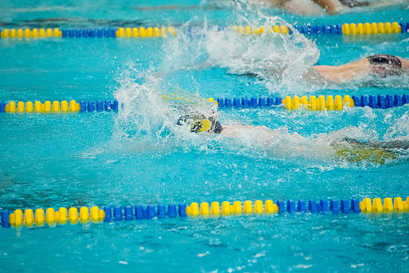 TCP_2007_012226
