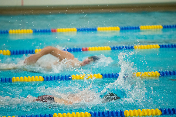 TCP_2024_012226