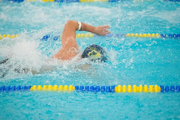 TCP_3341_021226