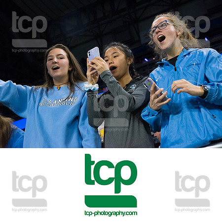 TCP_4898_113019