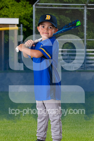 TCP_3979_4