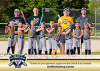 DYBSA_SponsorPlaque_SB8U DeWitt Batting Center