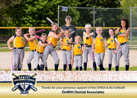 DYBSA_SponsorPlaque_SB8U DeWitt Dental Associates