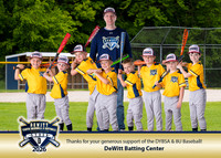 DYBSA_SponsorPlaque_BB8UDeWitt Batting Center