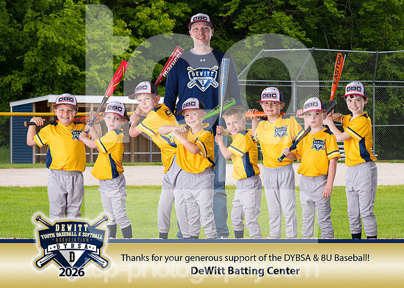 DYBSA_SponsorPlaque_BB8UDeWitt Batting Center