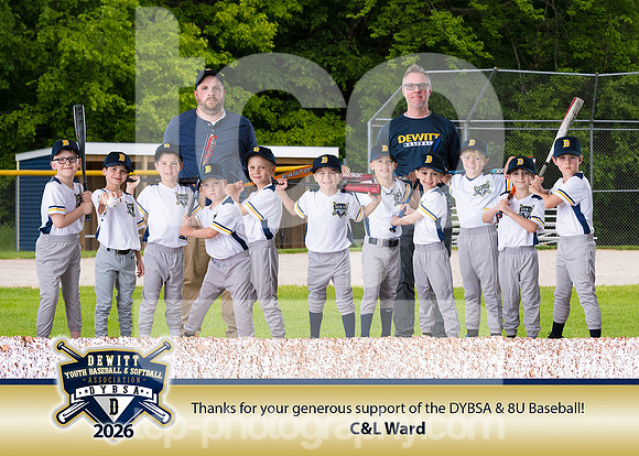 DYBSA_SponsorPlaque_BB8UC&L Ward