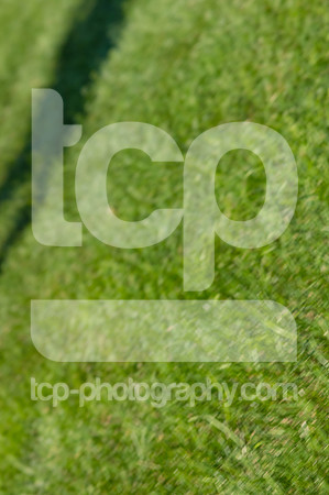 TCP_1358_071226