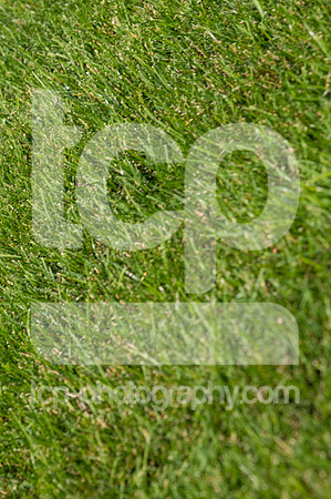 TCP_1359_071226