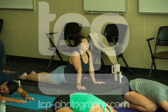 TCP_6868_071526