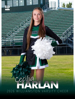 TCP_0697_5_3x4BannerG_Harlan