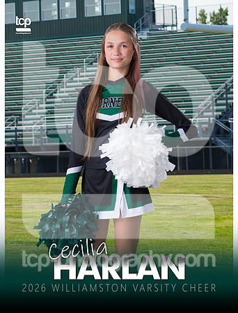 TCP_0697_5_3x4BannerG_Harlan
