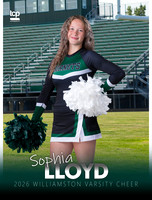 TCP_0703_7_3x4BannerG_Lloyd
