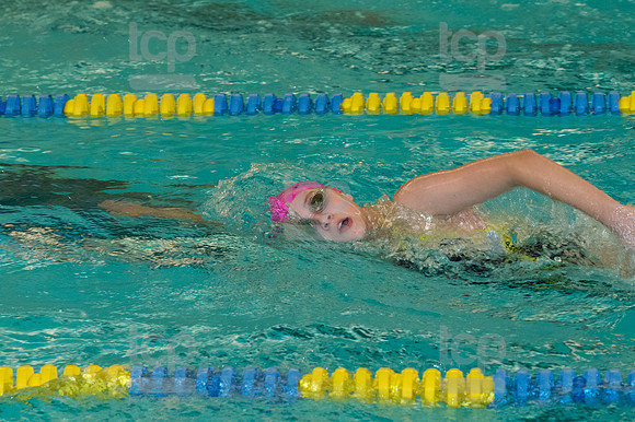 TCP_1728_102419