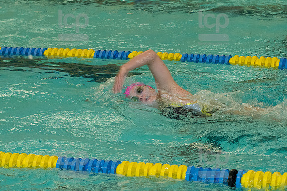 TCP_1736_102419