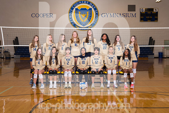 TCP_3577_2627DCDSFreshVball