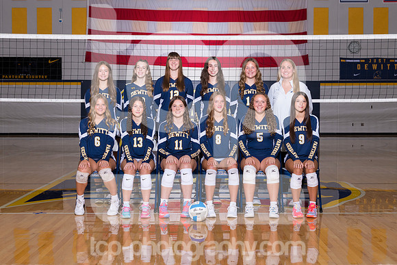 TCP_5856_2627DHSJVVball