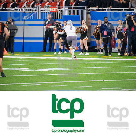 TCP_6391_113019