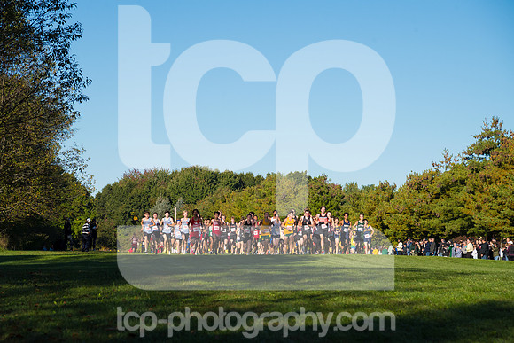 TCP_4743_100326