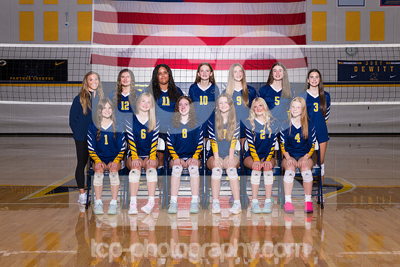 TCP_3780_2627DHSFreshVball