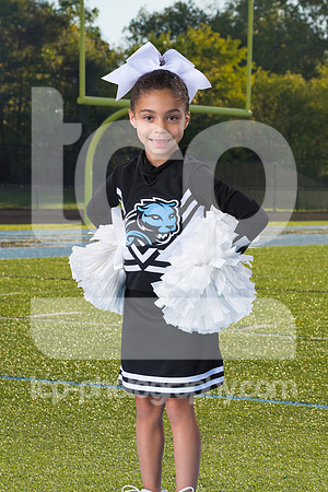 TCP_8052_17PRIVATE