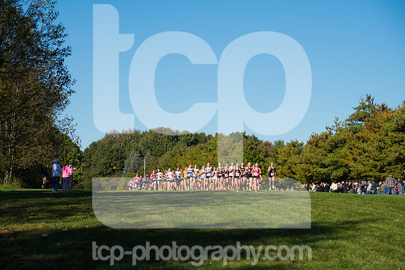 TCP_5101_100326