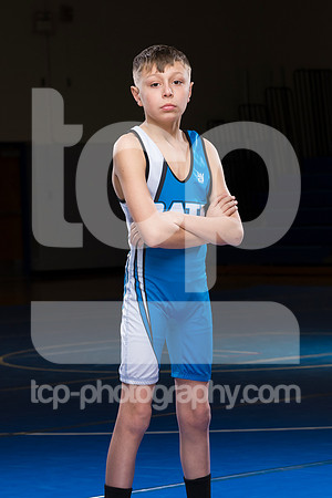 TCP_8739_1