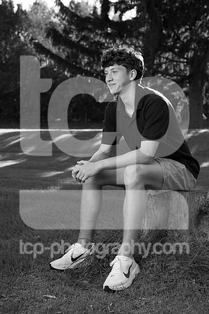 TCP_8134