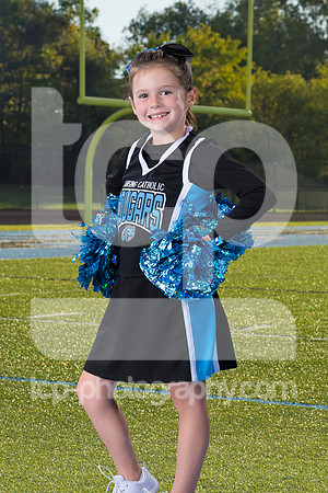 TCP_8079_25