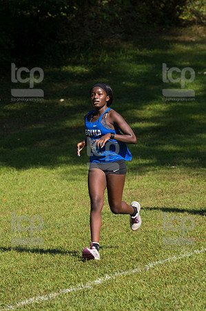 TCP_0516