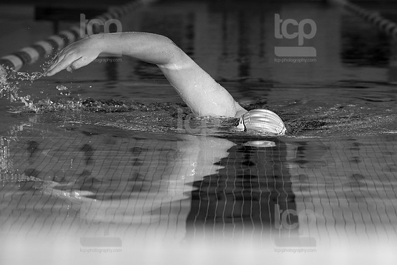 TCP_0146