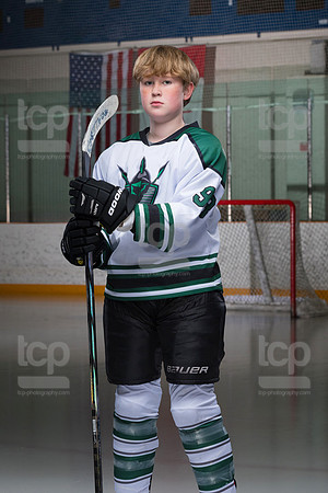 TCP_3622_31