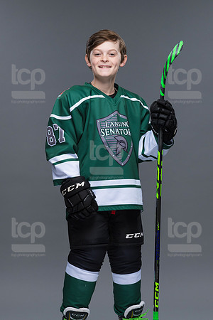 TCP_3102_1