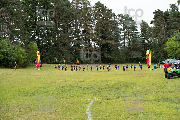TCP_0229